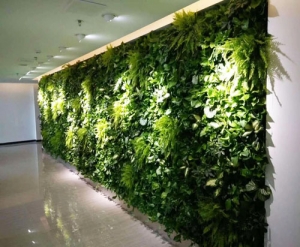植物墙设计安装