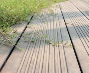 三门峡竹木地板