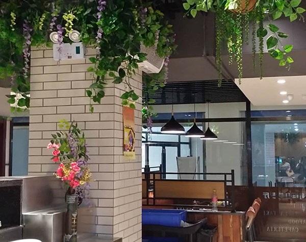 仿真植物装饰